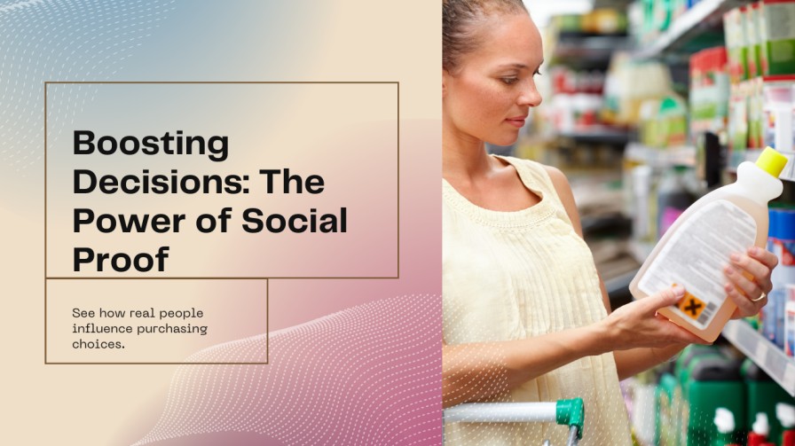 influence purchasin decision