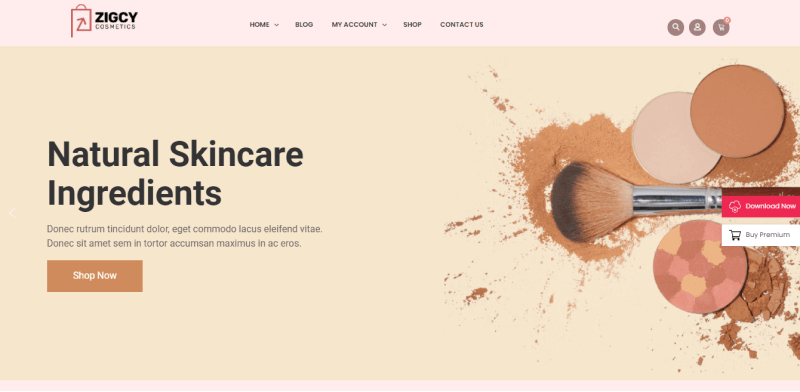 Zigcy Cosmetics Free WooCommerce Theme
