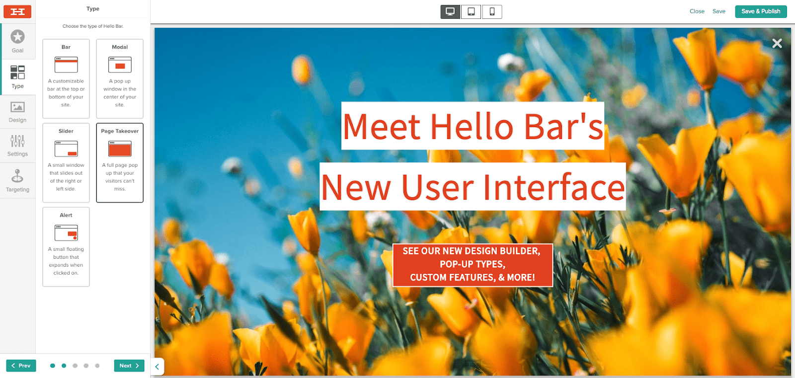 Display Formats