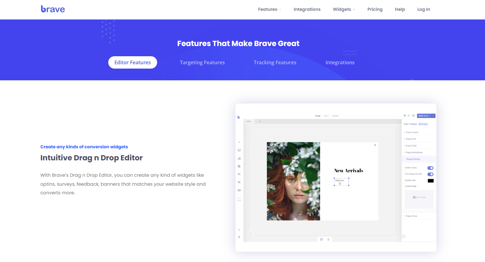 brave wordpress plugin