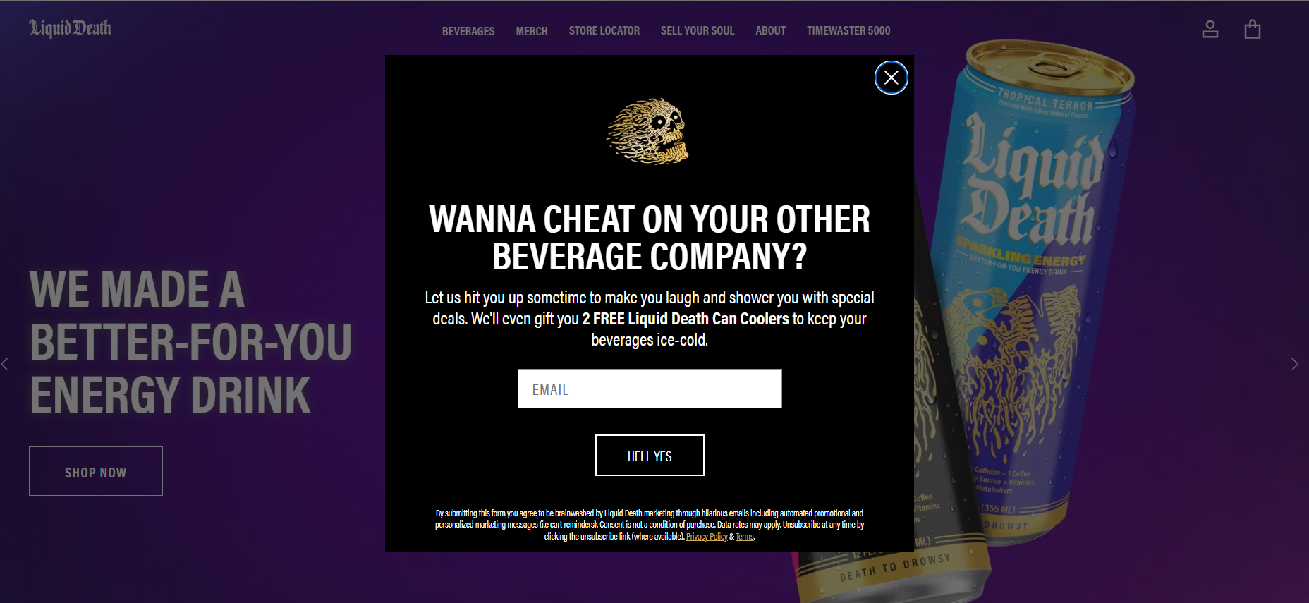 website pop ups example