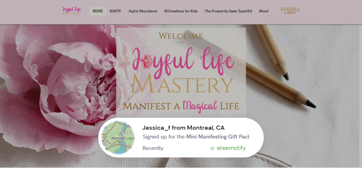 Joyfullifemastery image