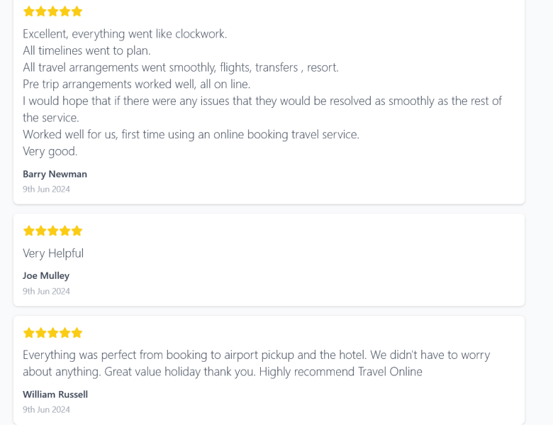 Travel agency positive review example