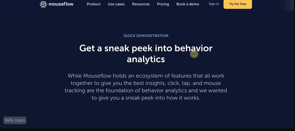 Mouseflow website