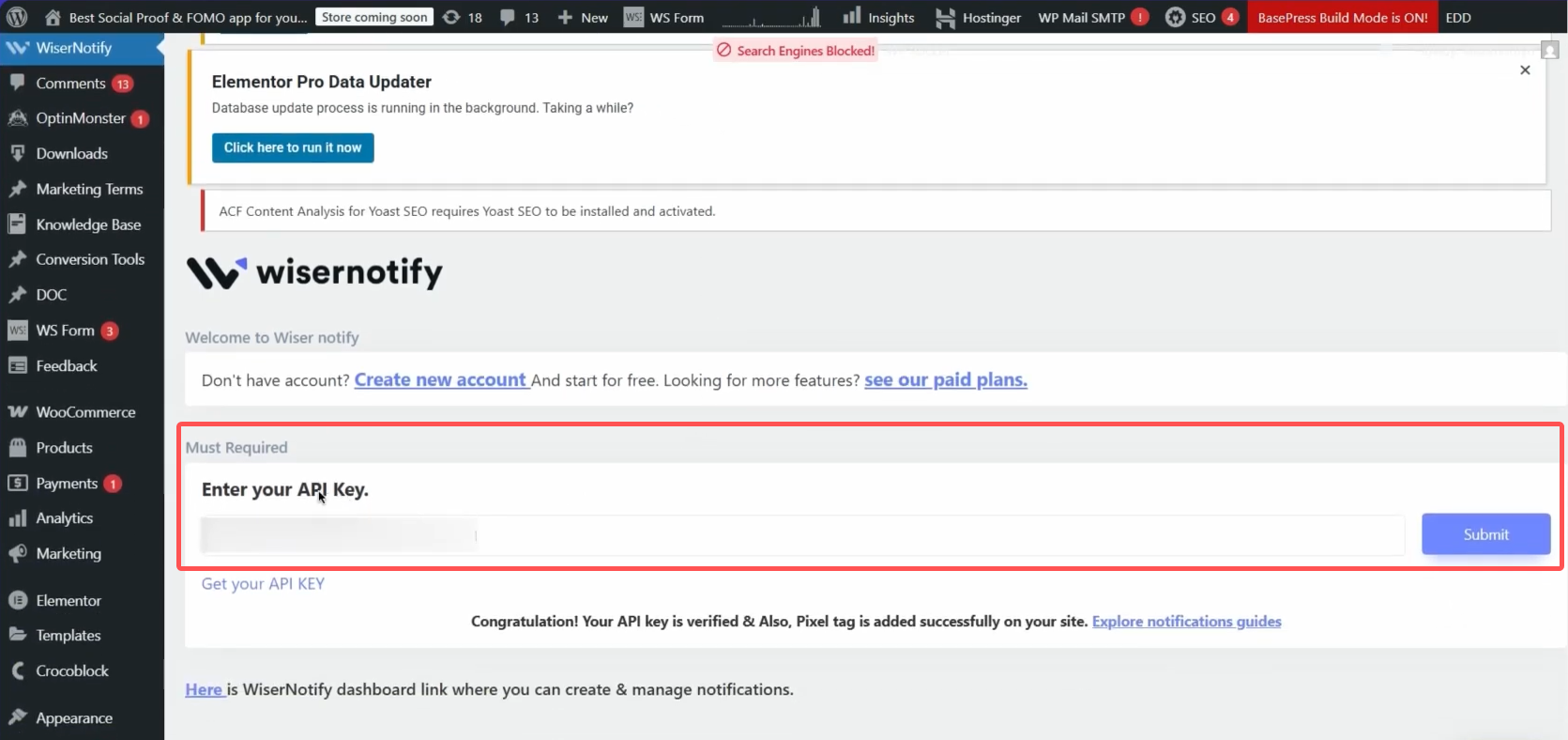 Connect API Key in WordPress