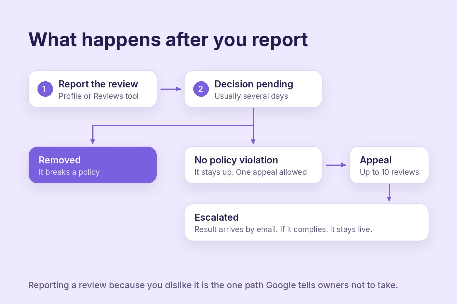 Flow of what happens after you report a Google review, from decision pending to appeal and escalation
