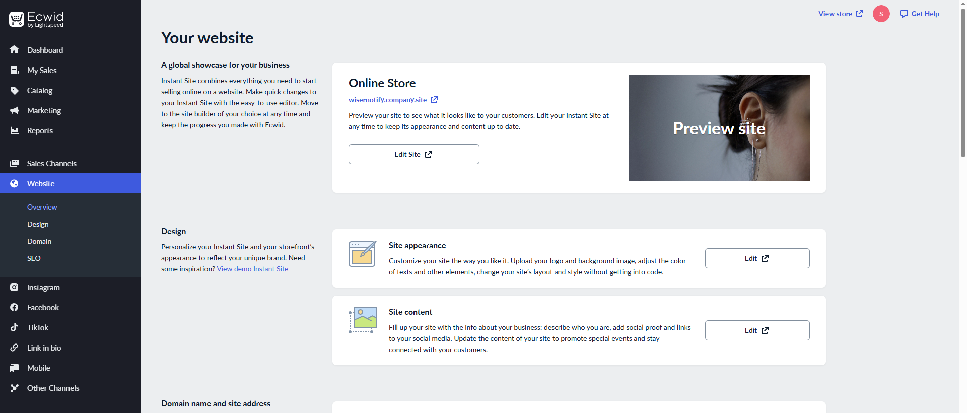 Ecwid admin Website Overview page with the Website menu open