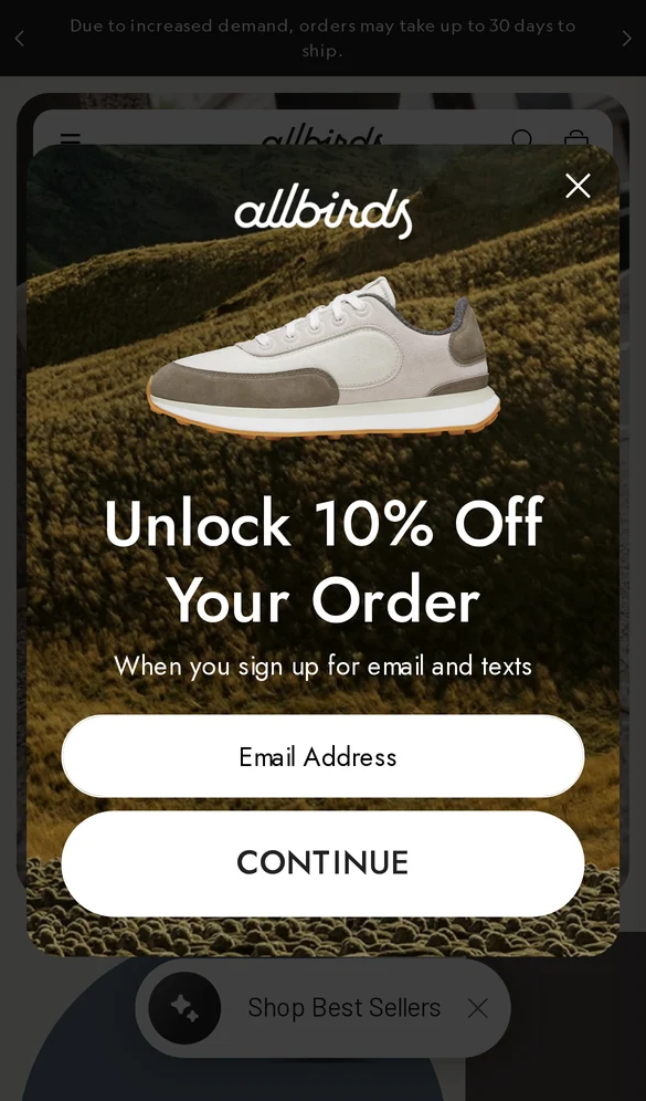 Allbirds mobile popup offering 10% off for signing up with email