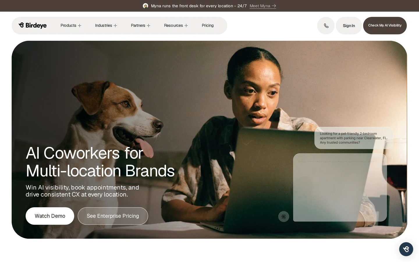 Birdeye homepage