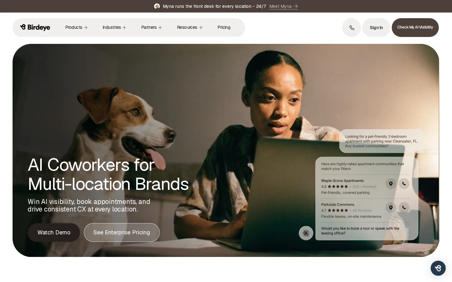 Birdeye homepage