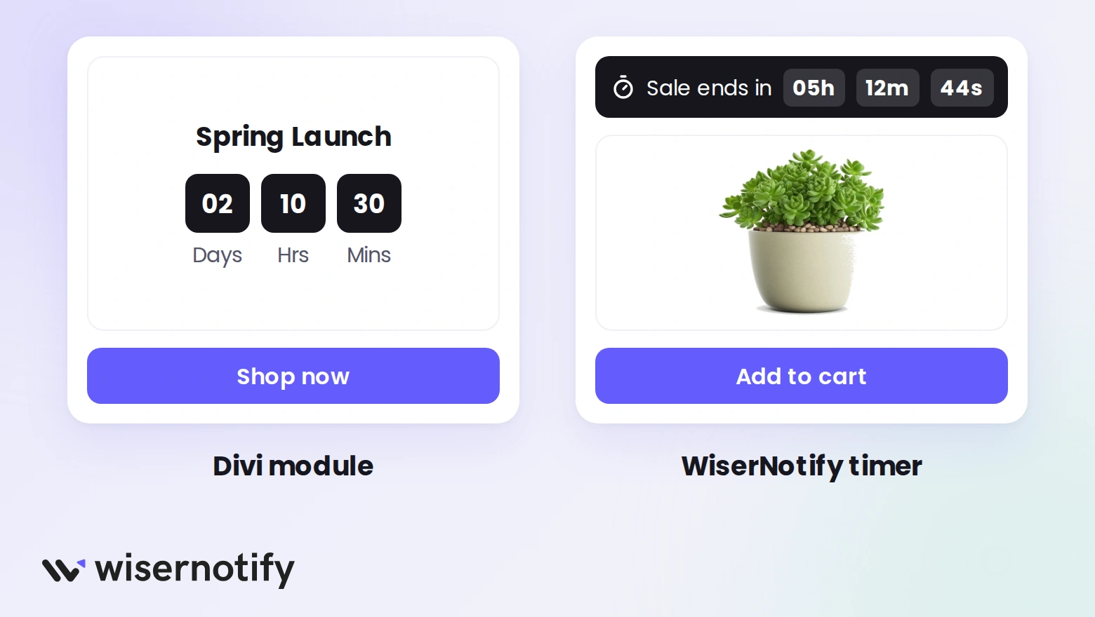 A Divi Countdown module built into the page layout next to a floating WiserNotify Sale ends in bar above a product