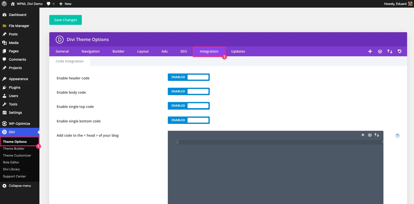 Divi Theme Options in the WordPress menu with the Integration tab open