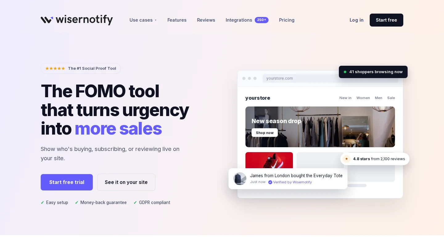 WiserNotify homepage