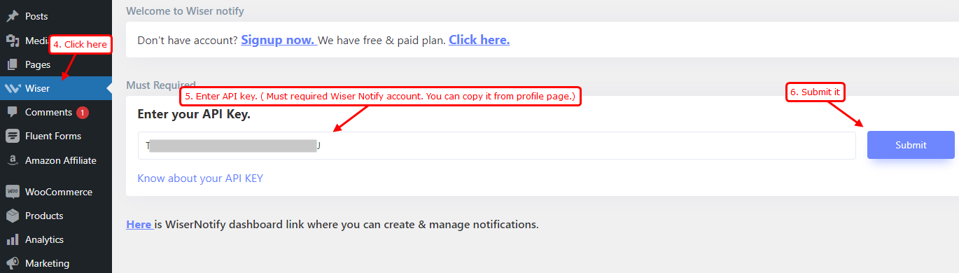 Wiser menu in WordPress with the API key box and Submit button highlighted